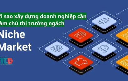 vì sao xây dựng doanh nghiệp cần làm chủ thị trường ngách