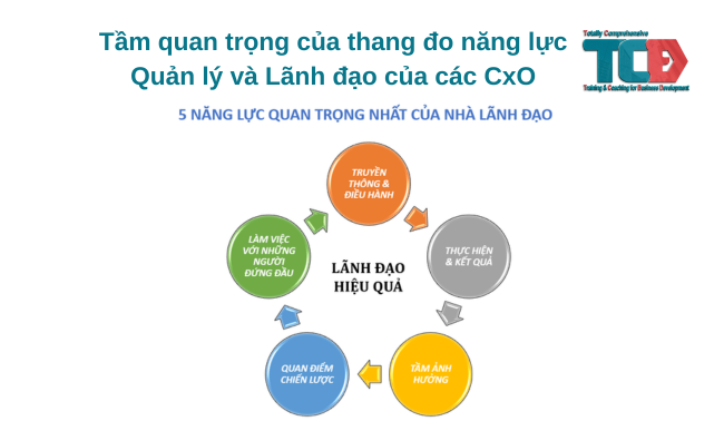 Tầm quan trọng của thang đo năng lực Quản lý và Lãnh đạo của các CxO