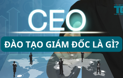 Đào Tạo Giám Đốc Là Gì? Tầm Quan Trọng Đào Tạo Giám Đốc