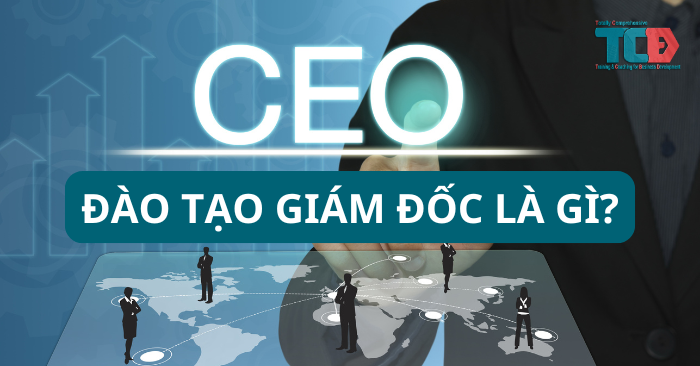 Đào Tạo Giám Đốc Là Gì? Tầm Quan Trọng Đào Tạo Giám Đốc